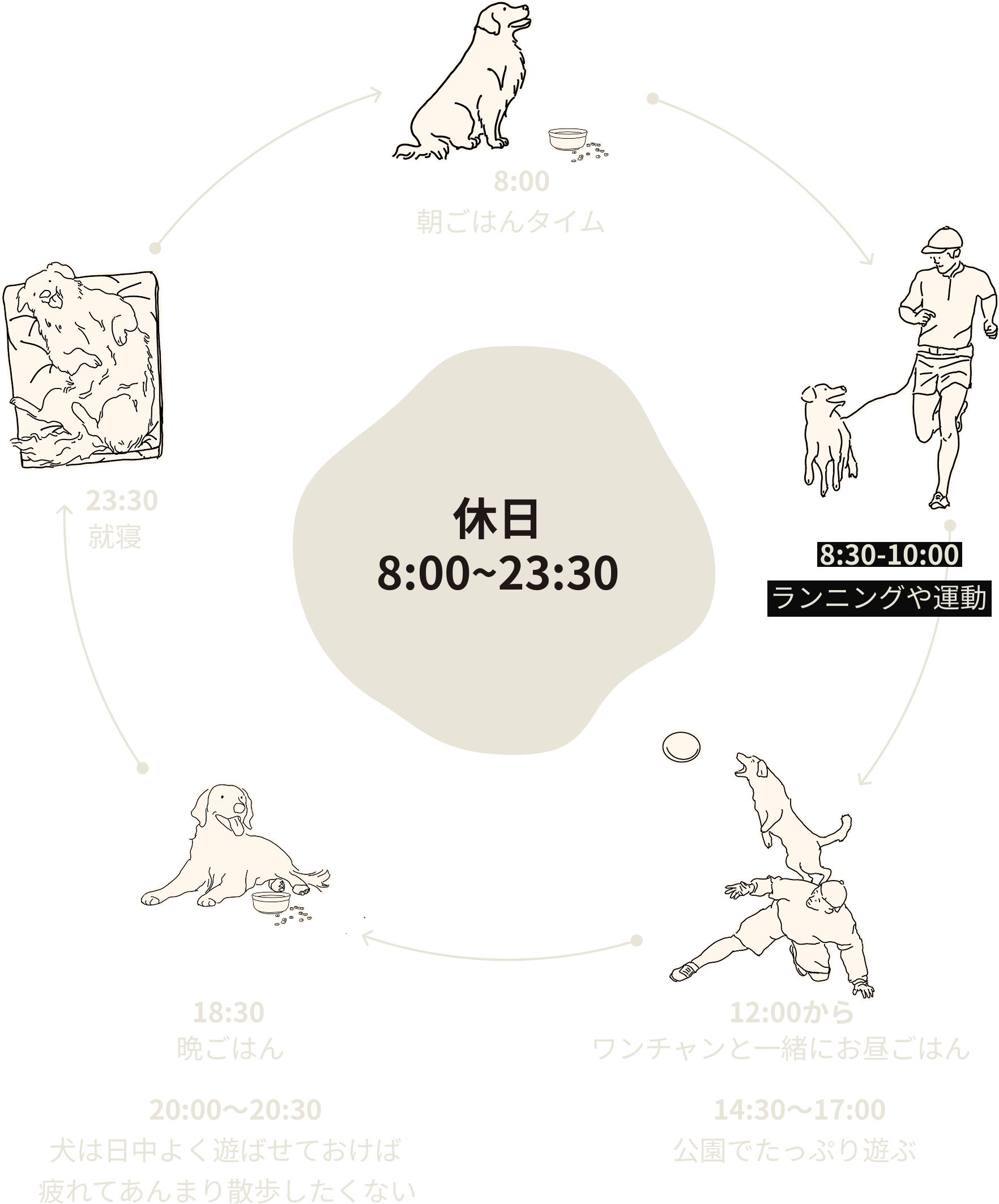 休日の犬との一日のサイクル図