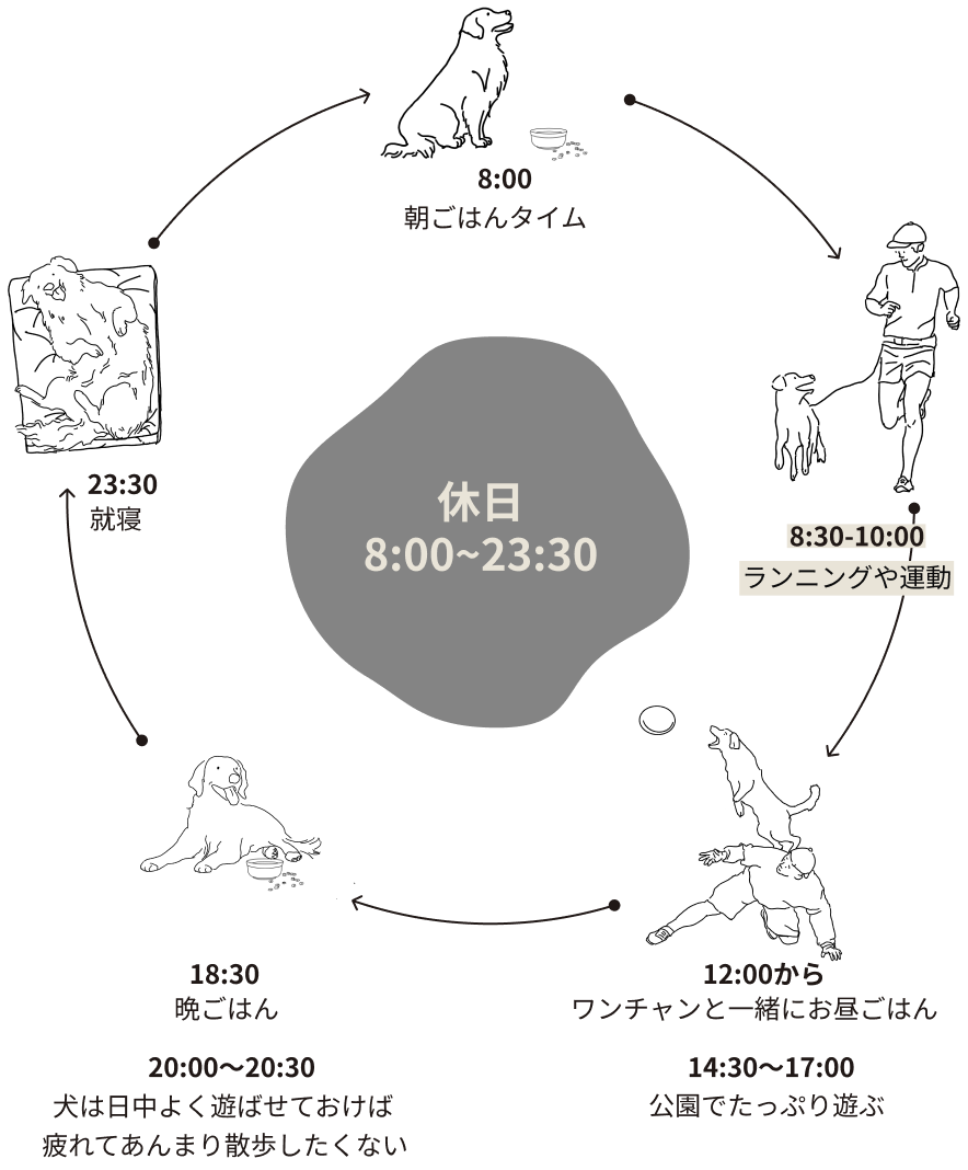休日の犬との一日のサイクル図