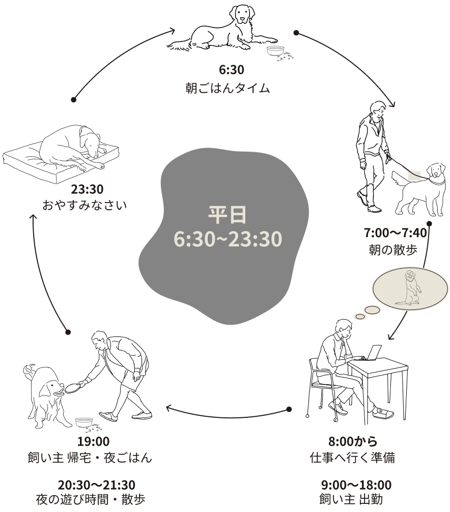 平日の犬との一日のサイクル図