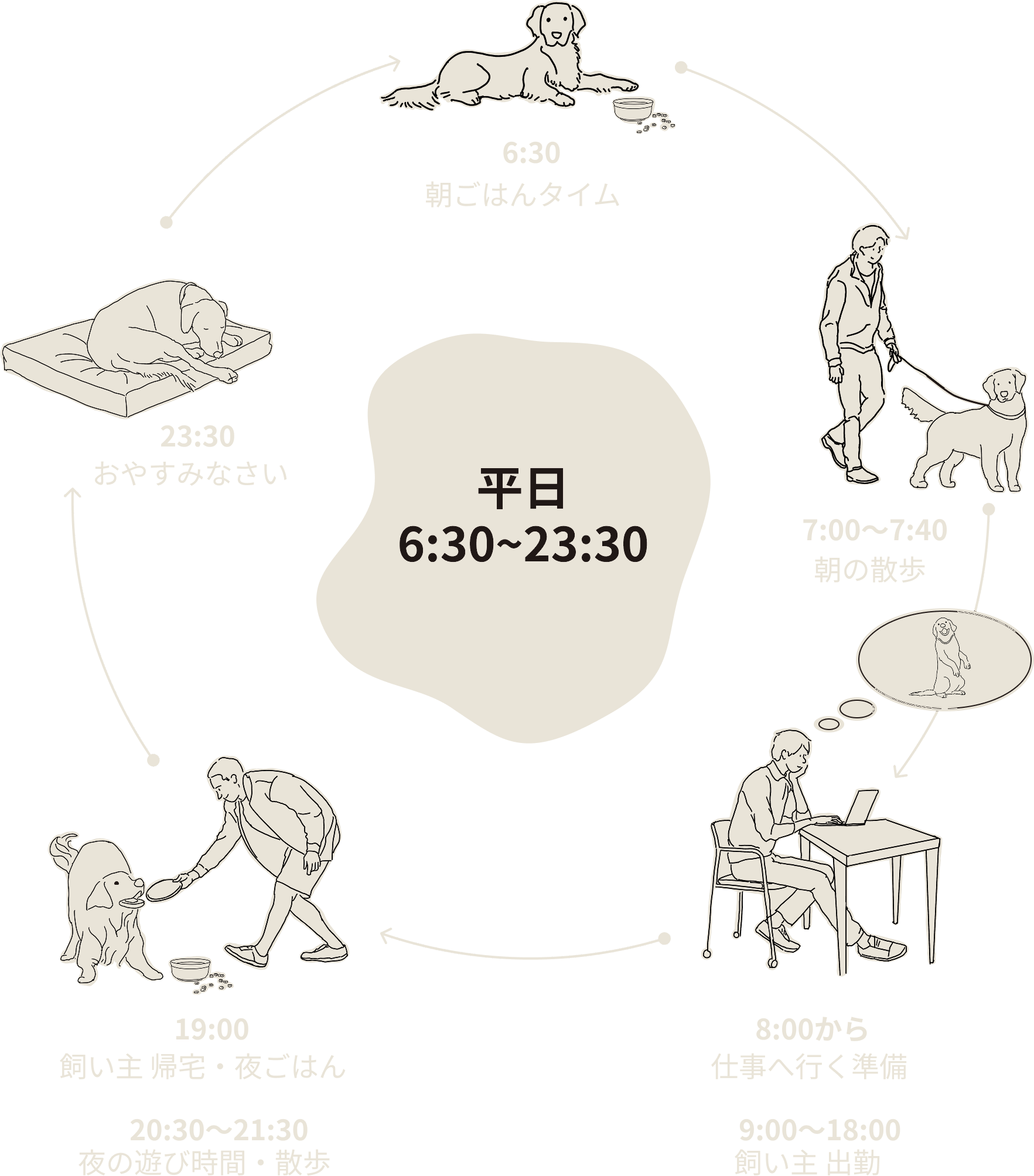 平日の犬との一日のサイクル図